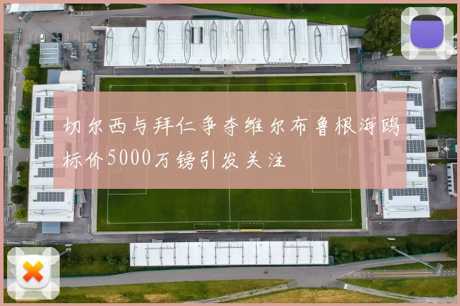 切尔西与拜仁争夺维尔布鲁根海鸥标价5000万镑引发关注
