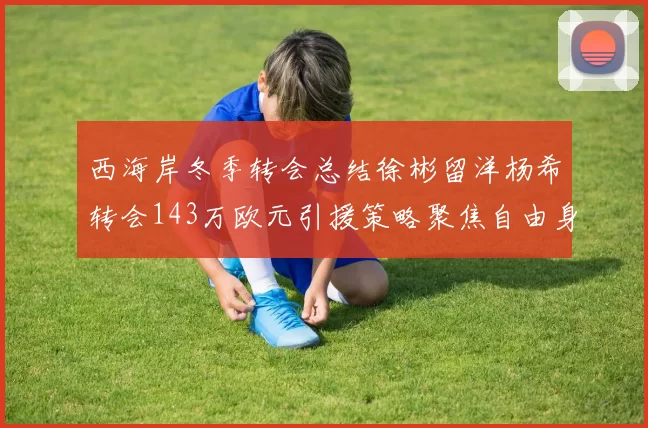 西海岸冬季转会总结徐彬留洋杨希转会143万欧元引援策略聚焦自由身球员
